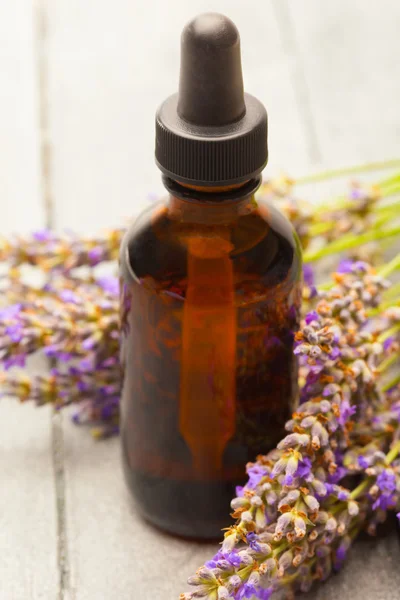 Óleo essencial de lavanda — Fotografia de Stock