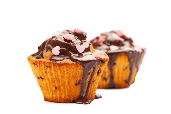 Tasty cupcakes with chocolate — Stock Photo, Image