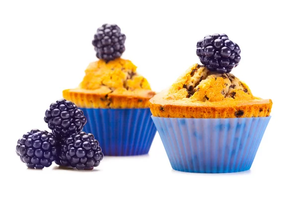 Muffins con moras —  Fotos de Stock