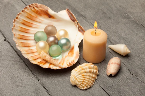 Bath pearls in a shell — Stock Photo, Image