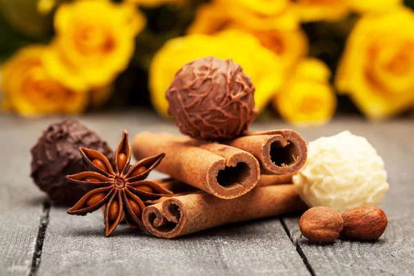 Trufas y especias de chocolate — Foto de Stock
