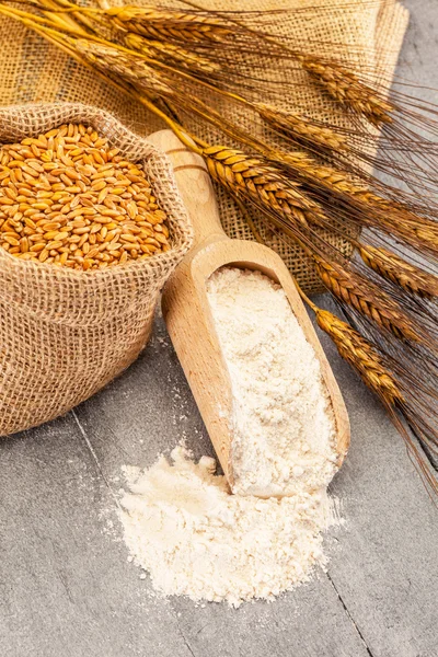 buğday taneleri ve un