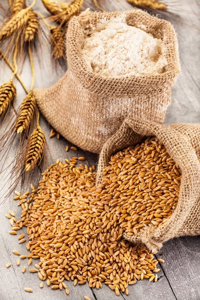 buğday taneleri ve un