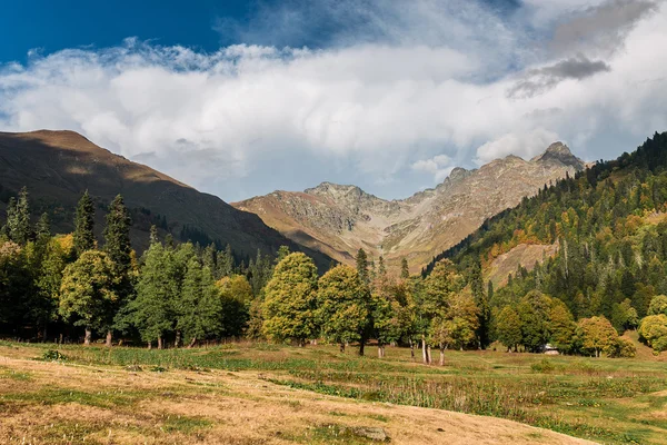 Valle amarillo en las montañas del Cáucaso en otoño —  Fotos de Stock