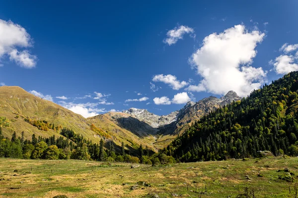 Prados alpinos amarillos y gama de altos picos rocosos en el valle de las montañas del Cáucaso, Abjasia Georgia — Foto de Stock