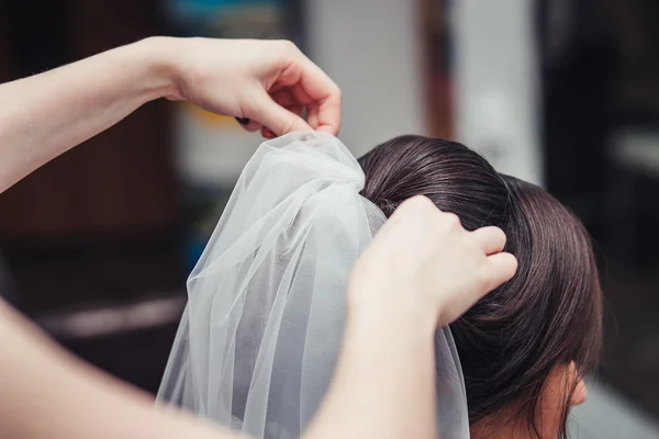 Cabeleireiro corrige véu na cabeça da noiva. Fechar. — Fotografia de Stock
