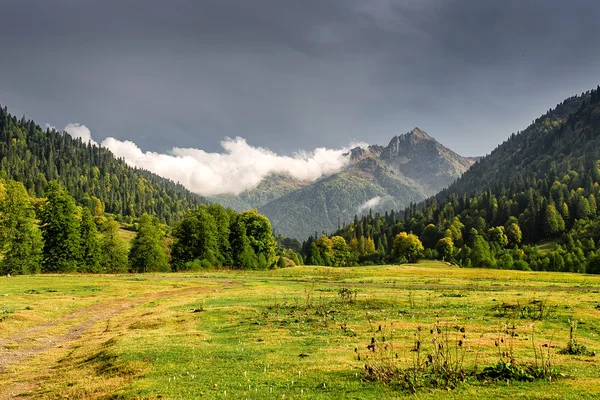 秋天的风景。从针叶森林雾围绕着山顶在清晨的阳光 — 图库照片