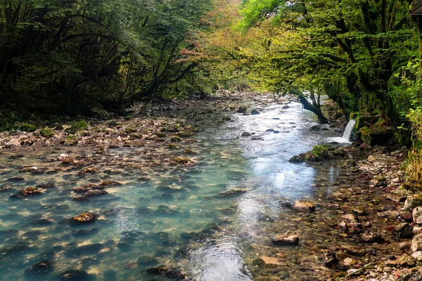 Blå rocky wild river, Abchazien — Stockfoto