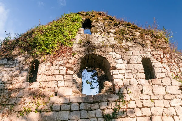 Ruínas do antigo castelo coberto por hera, Abcásia — Fotografia de Stock