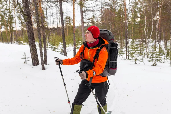 Felszerelt férfi turisták, a téli erdőben — Stock Fotó