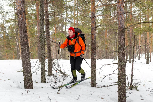 SkiTour lyžař v lese s batohem, pěší turistika, v zimě — Stock fotografie
