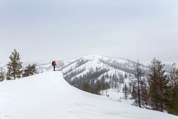 Skifahrer auf einer Bergspitze — Stockfoto