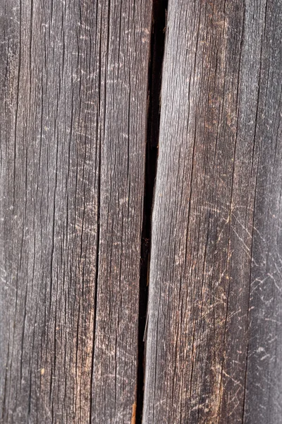 Hintergrundstruktur eines alten rissigen Holzes im Wald — Stockfoto