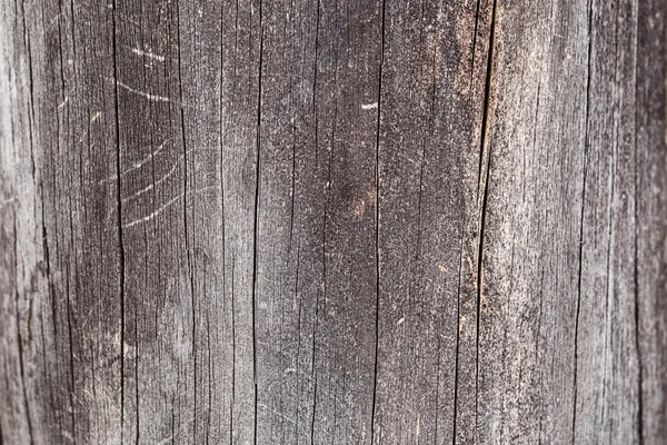 Textura de fundo de uma velha madeira rachada na floresta — Fotografia de Stock