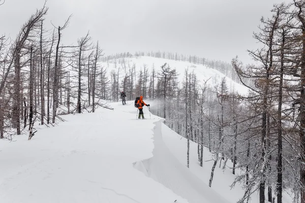 Wanderer bewegen sich auf Tourenskiern entlang des schneebedeckten Plateaus hoch oben auf — Stockfoto