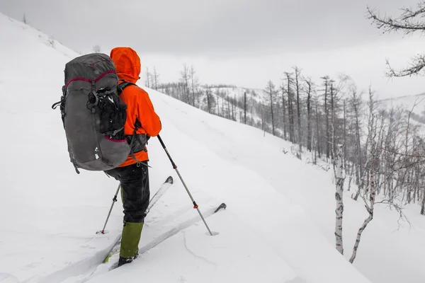 Winter-Langlauftrekking durch den verschneiten Wald auf der Loipe i — Stockfoto