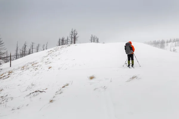 Caminata de invierno a través de los bosques nevados en la pista i — Foto de Stock