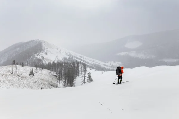 Vinter terränglöpning vandringen genom de snöiga skogen på spår jag — Stockfoto