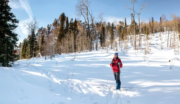 Caminhante caminha na floresta de neve — Fotografia de Stock