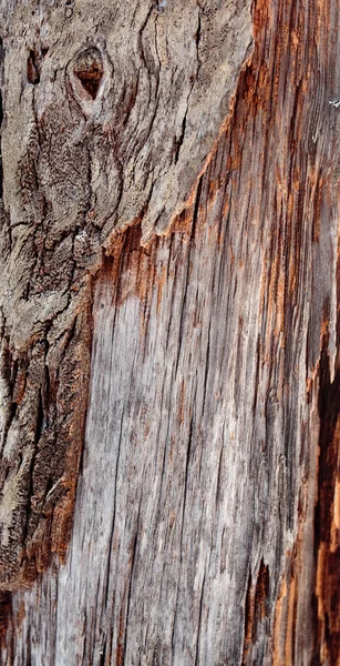 Estructura de madera vieja con una cantidad considerable de grietas — Foto de Stock