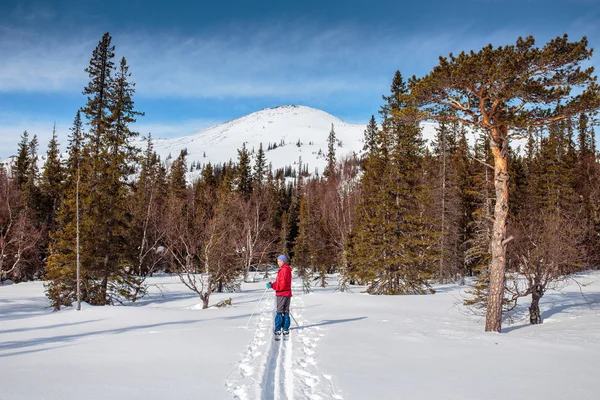Winterlandschap met een mountain ski tracks en toeristische terug cou — Stockfoto