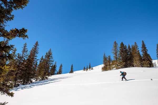 Vista panorámica del esquí de fondo en el soleado paisaje invernal — Foto de Stock