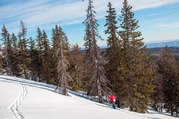 Winterlandschap met een mountain ski tracks en toeristische terug cou — Stockfoto