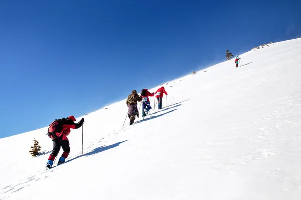 Montañismo grupo de turistas subiendo por la nieve cubierto mo — Foto de Stock