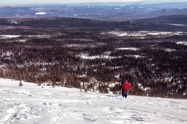 Neve coberto paisagem de montanha de inverno com caminhantes e pinheiros — Fotografia de Stock