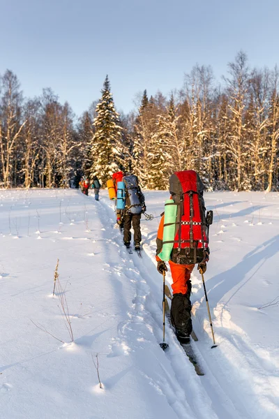 Esquiadores de fondo en invierno nieve caminando con mochilas en na — Foto de Stock