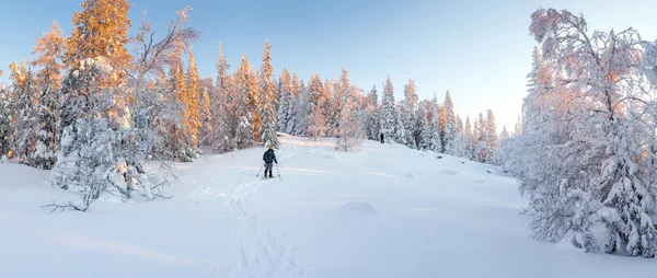 Otroliga vinterlandskap. Turist i snöskor i jacka sta — Stockfoto