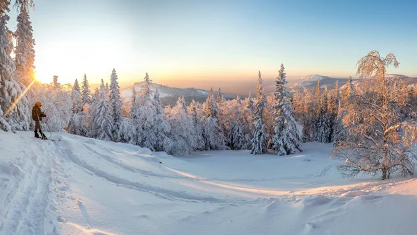 Skitour esquiador en el bosque con una mochila de senderismo en invierno — Foto de Stock