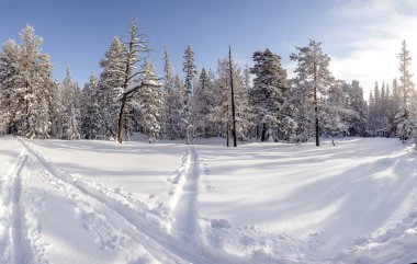 İkinci el bir parça üzerinde bir göl güneşli geçer. Orman ve