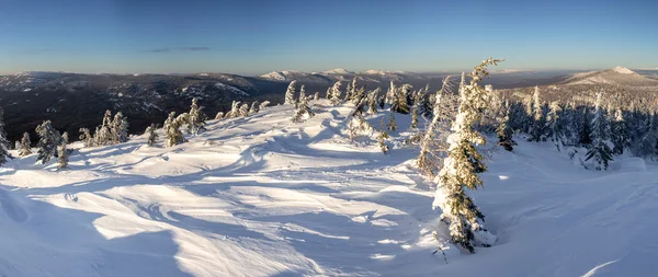 Prachtig winterlandschap met besneeuwde bomen — Stockfoto