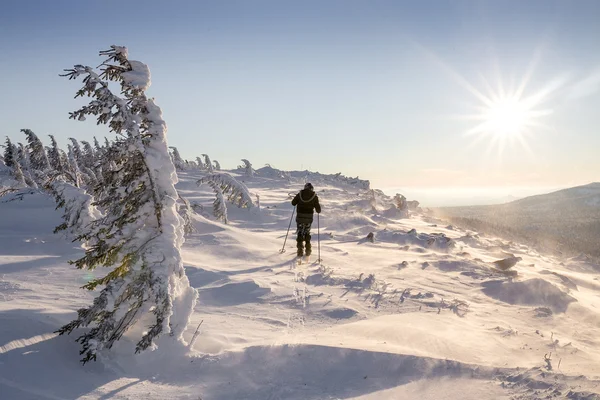 Πεζοπόρος ταξίδι στα βουνά του χειμώνα στο sunrise στα Ουράλια — Φωτογραφία Αρχείου