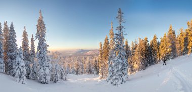 Kış panoranic manzara. Ceket sta snowshoeing içinde turizm