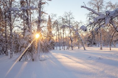 luxe knoopte wit vintage leer patroon