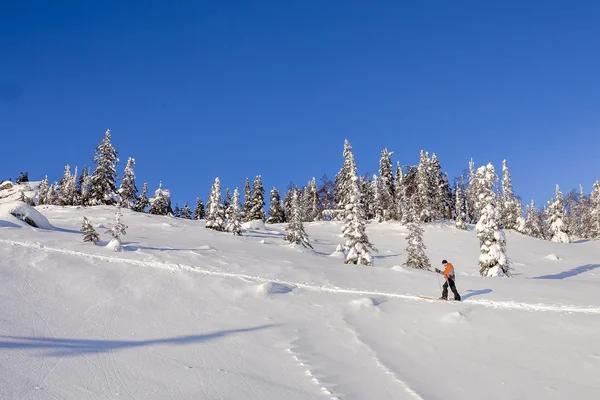 Groep skiërs wandelen met een rugzak in winter bergen en f — Stockfoto