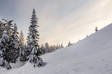 luxe knoopte wit vintage leer patroon