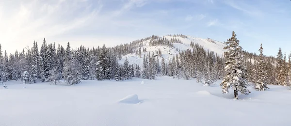 Paisagem de Inverno com Pedra Rocha Coberto com Neve - Sul Ural — Fotografia de Stock