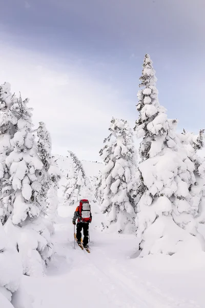 スキーヤーは、雪の上を歩く覆われた山脈、ウラル、ロシア — ストック写真