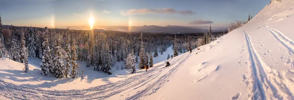 Сніговий схил пагорба з лісом на заході сонця взимку — стокове фото
