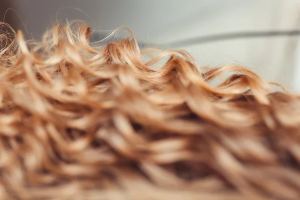 Close-up rambut pirang keriting di salon kecantikan tukang cukur — Stok Foto