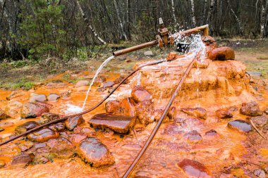 Mineral şifalı maden suyu su kaynağı - Narzan, Elbrus region, Rusya Federasyonu