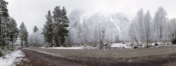 Краєвид в осінньому парку сонячні промені перший сніг — стокове фото