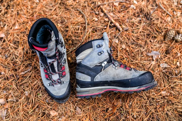 Caminhadas botas de trekking estão no chão na floresta — Fotografia de Stock