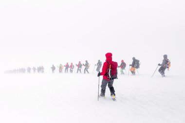 Elbrus, Caucasus mountains, Russia. A huge group of climbers descends from the Elbrus in the fog. The concept of climbing the mountain in a snow storm clipart