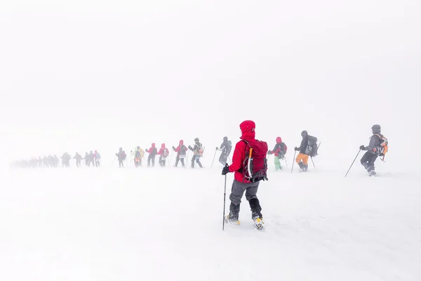 Elbrus, Kavkazu, Rusko. Obrovská skupina horolezců sestupuje z Elbrusu v mlze. Koncept lezení na horu v sněhové bouři — Stock fotografie