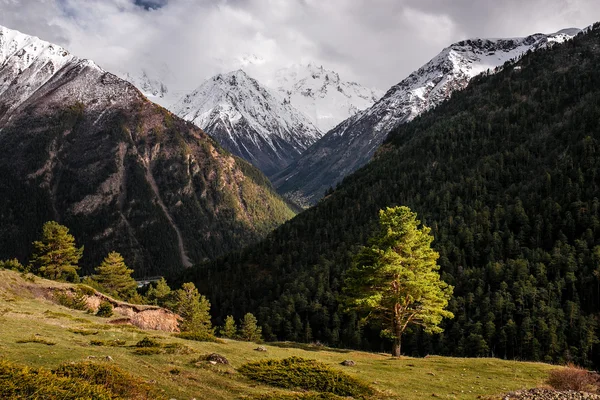 Szép kilátás, a lábánál Mt. Ushba, felhők, a napfény által megvilágított. Drámai, festői reggel jelenet. Magas Caucasus ridge. — Stock Fotó