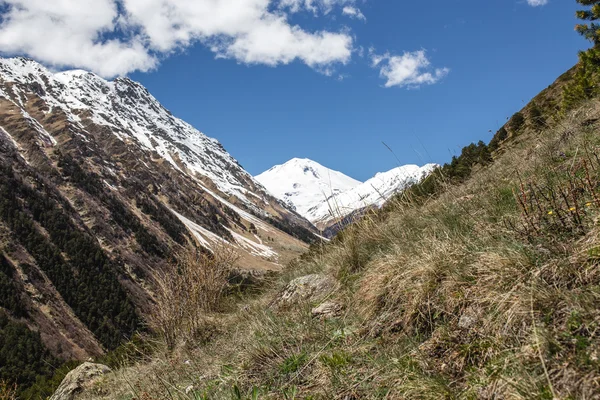 Mountain Elbrus view, keletről, a Irik folyó völgyében — Stock Fotó